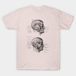 Face Muscular Diagram - Dual Side View T-Shirt